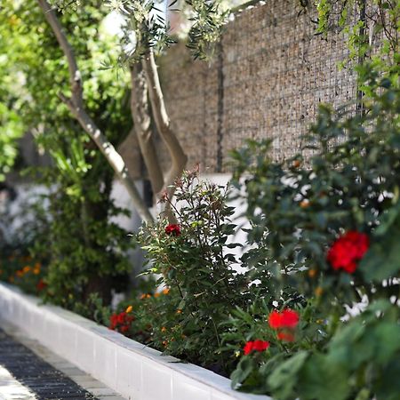 Vila Feliz - Premium Rooms With Free Private Parking Влёра Экстерьер фото