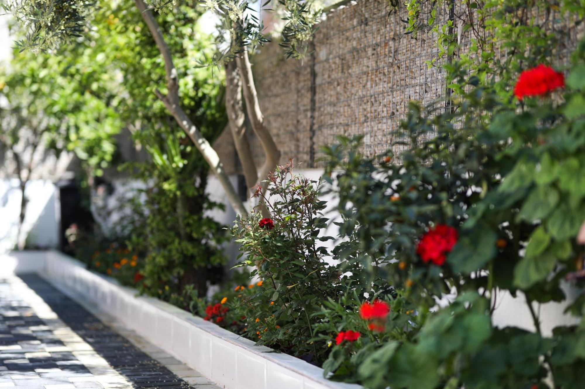Vila Feliz - Premium Rooms With Free Private Parking Влёра Экстерьер фото