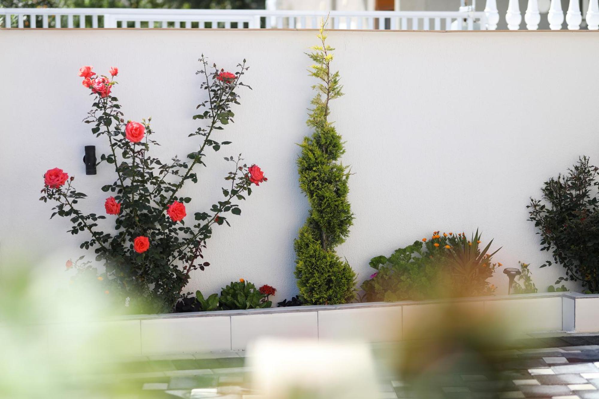 Vila Feliz - Premium Rooms With Free Private Parking Влёра Экстерьер фото